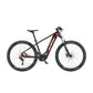 E-Bike montaña KTM Macina Team 693 Glorious
