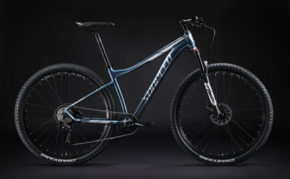 Bicicleta montaña Sunpeed Rule Gris osc-plata.